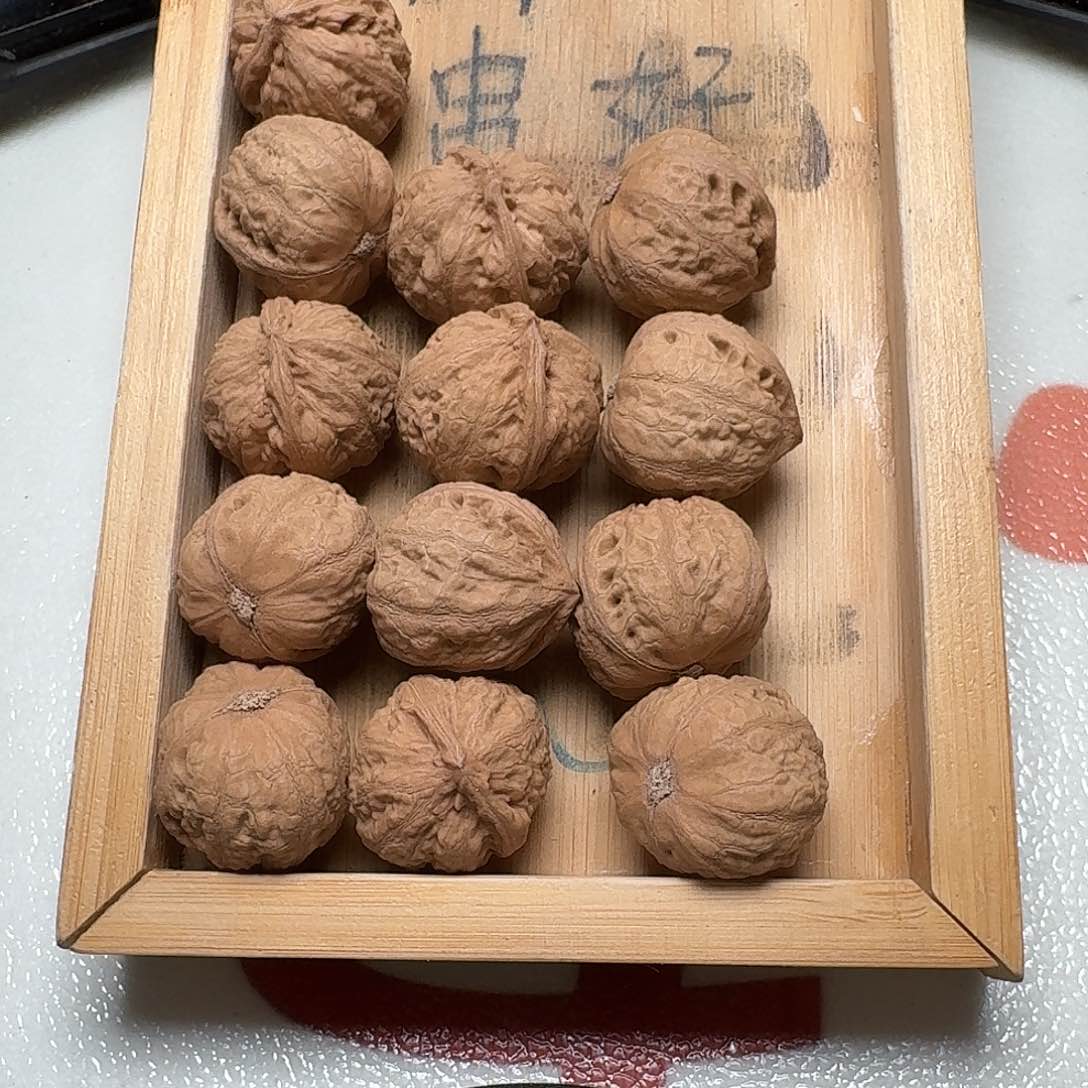 核桃手串/手链11号边24肚27高24