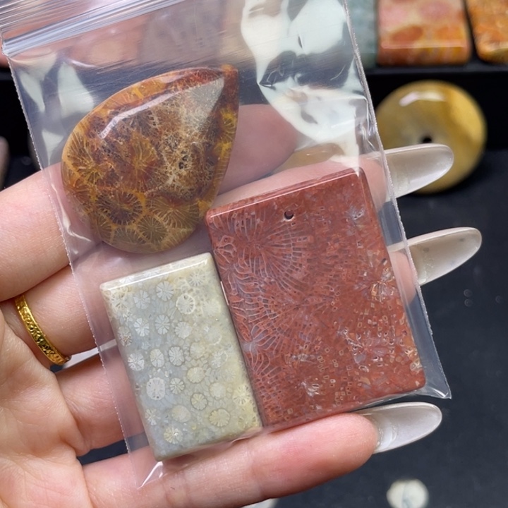 未镶嵌吊坠硅化珊瑚（珊瑚玉）