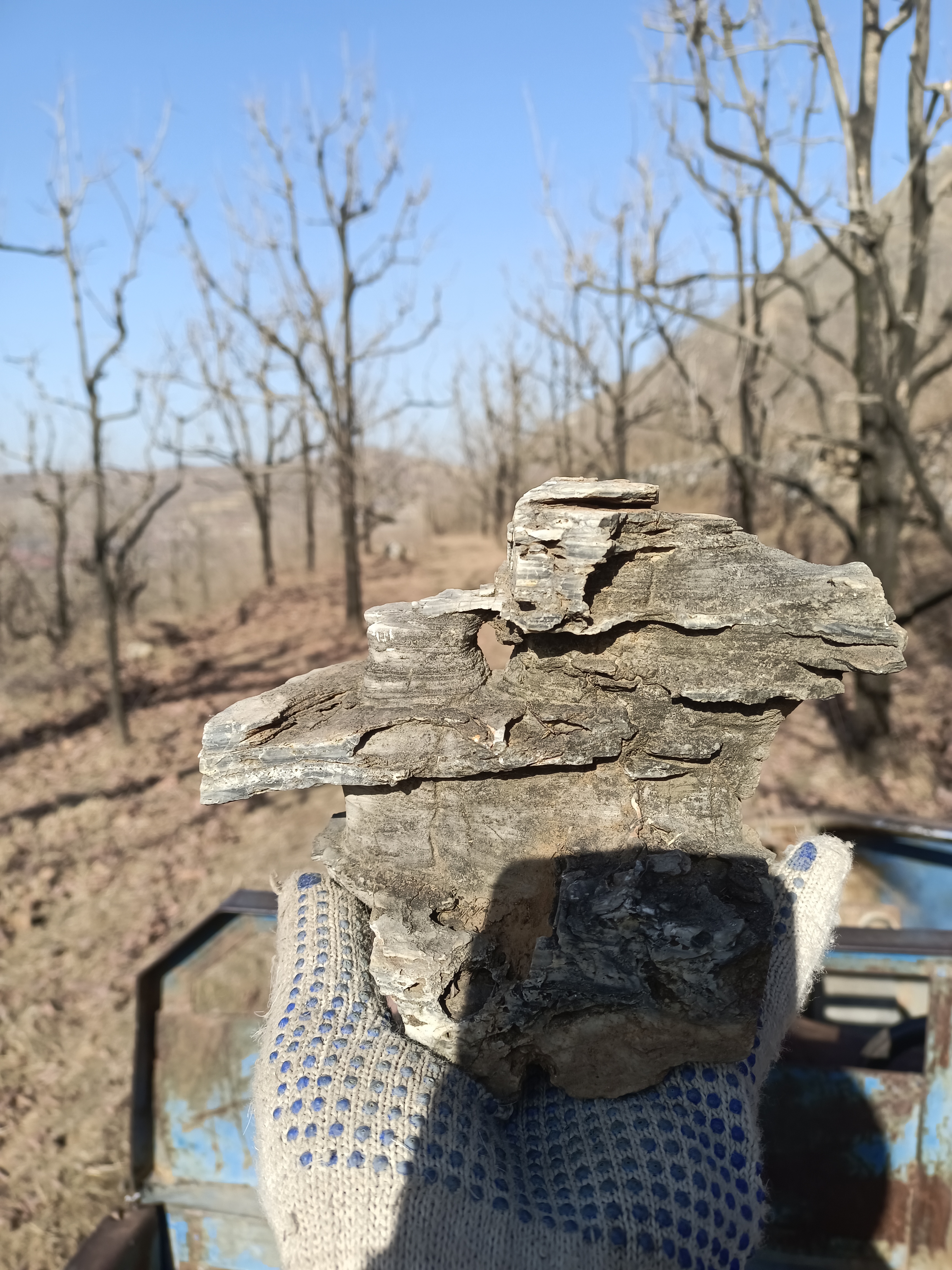 太行奇石鱼缸时花盆造景