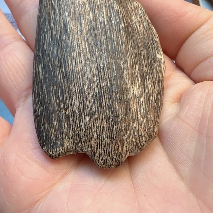 沉香摆件德**茶海南野生瓜子5.5克