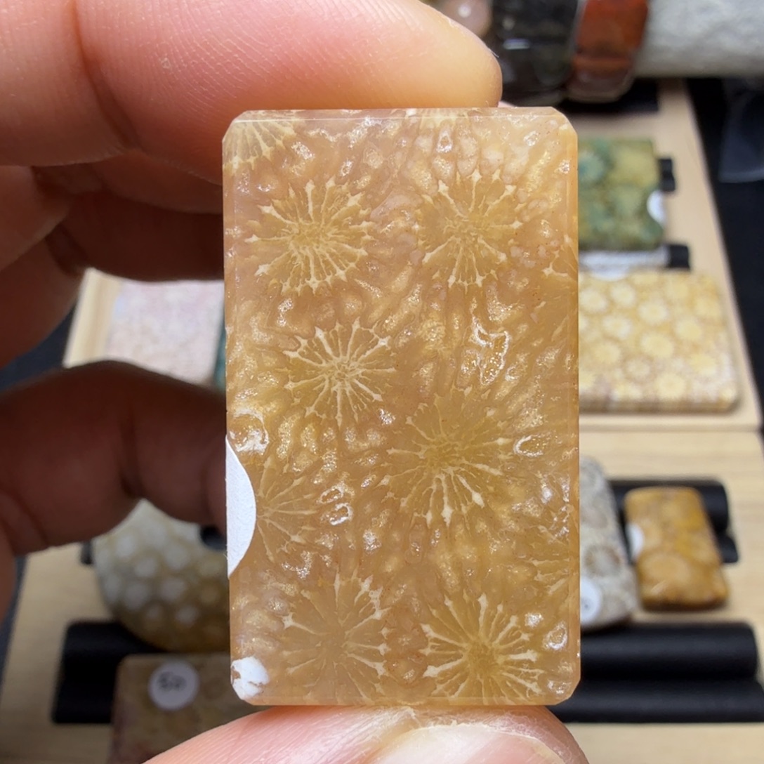 硅化玉未镶嵌纯天然色有机玉石保真色