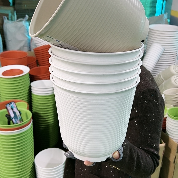 正品高陶口21高21白色无托6只