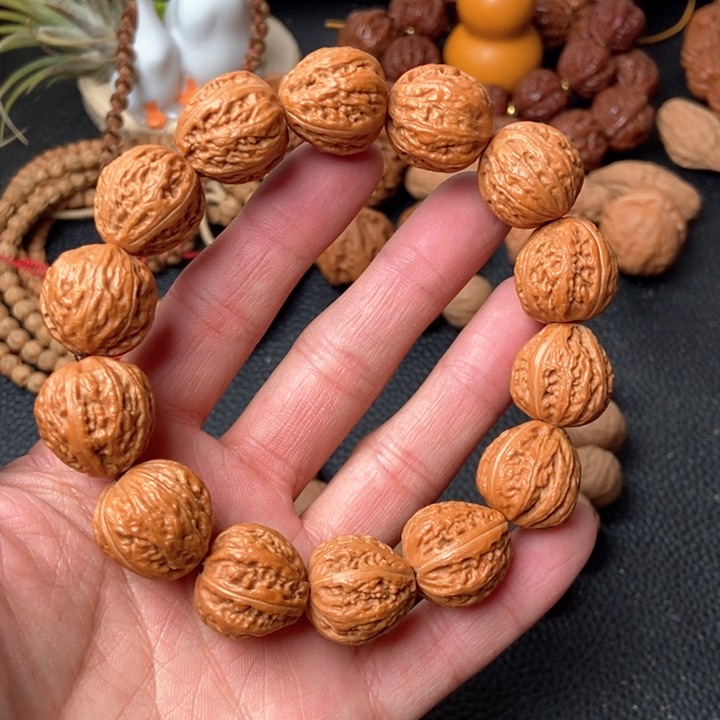 粗筋京八楞蚂蚁纹