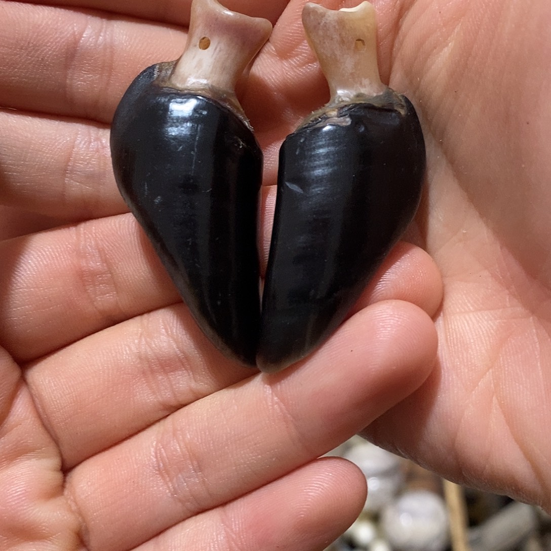 非金属鹿蹄鹿蹄鹿蹄