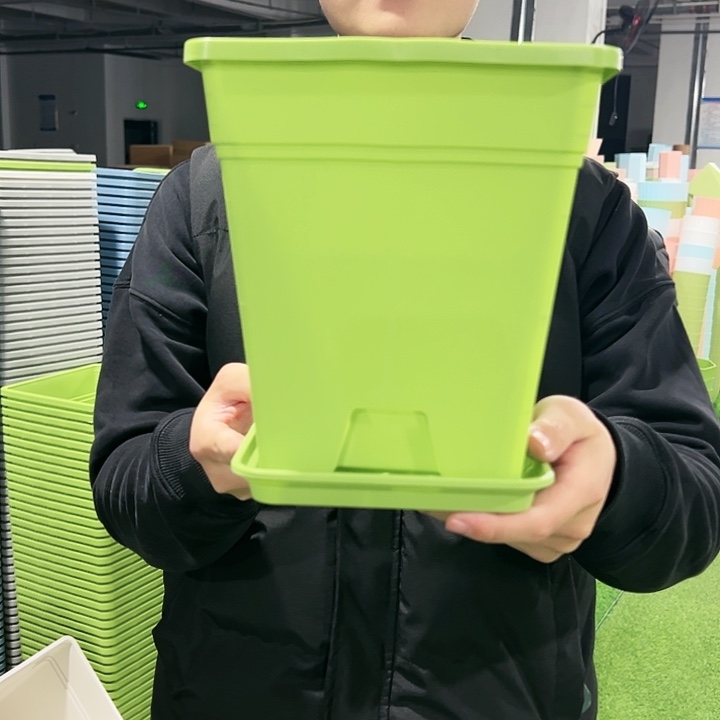 正品方盆口20高22果绿色6只带托