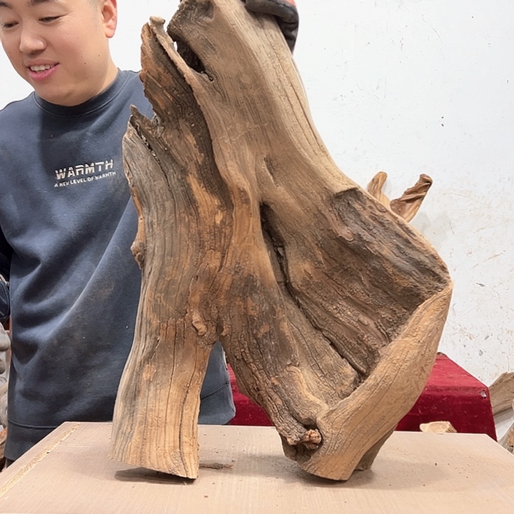 柏木动**翔我们的生活也是如此的丰富多彩