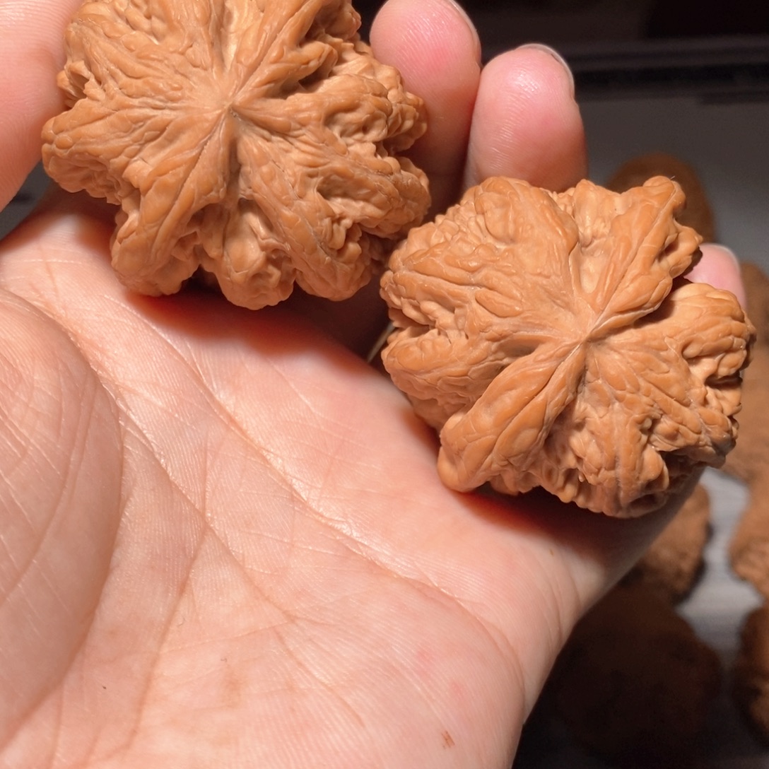 文玩核桃把件006大粗筋全品头货46+47.5