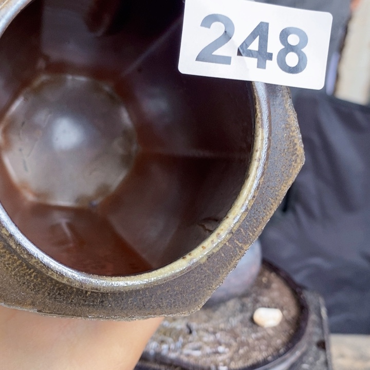 茶盏啦啦啦啦啦啦啦啦248