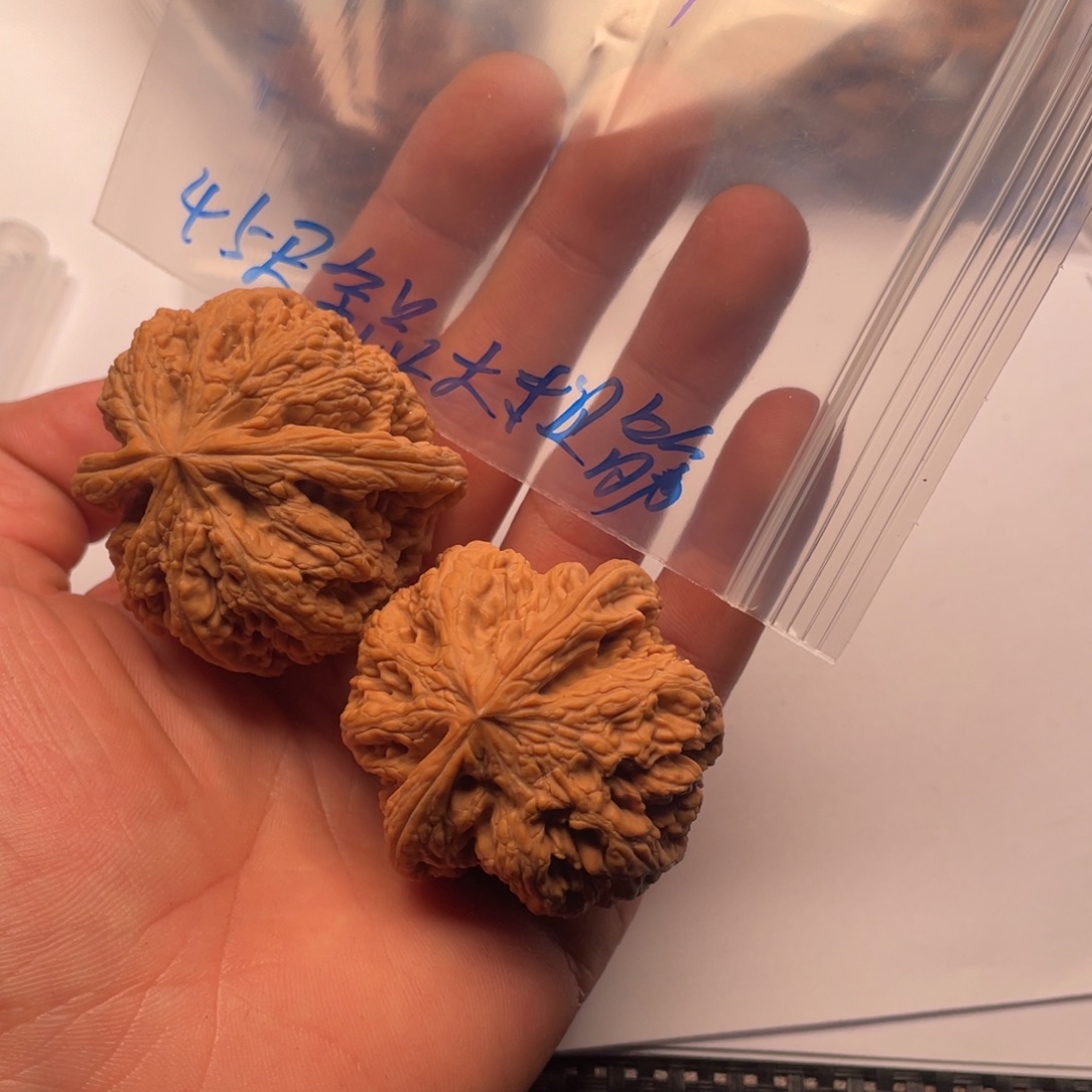 核桃手串/手链2244