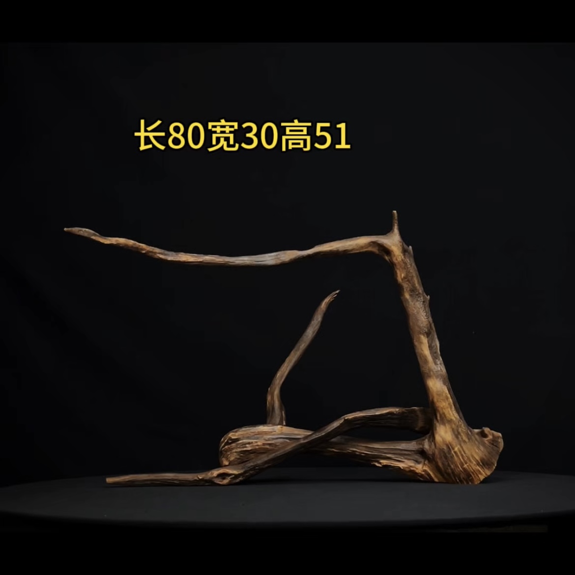 张大狼造景沉木长80cm一体多飘枝 南美鱼缸造景 紫柚木秒沉