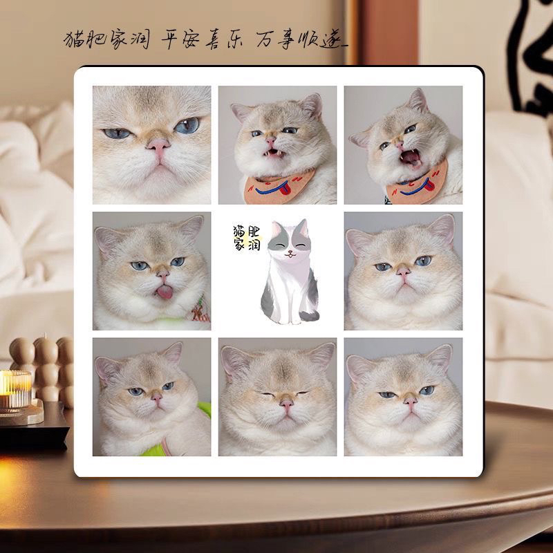 萌宠精品相册定制