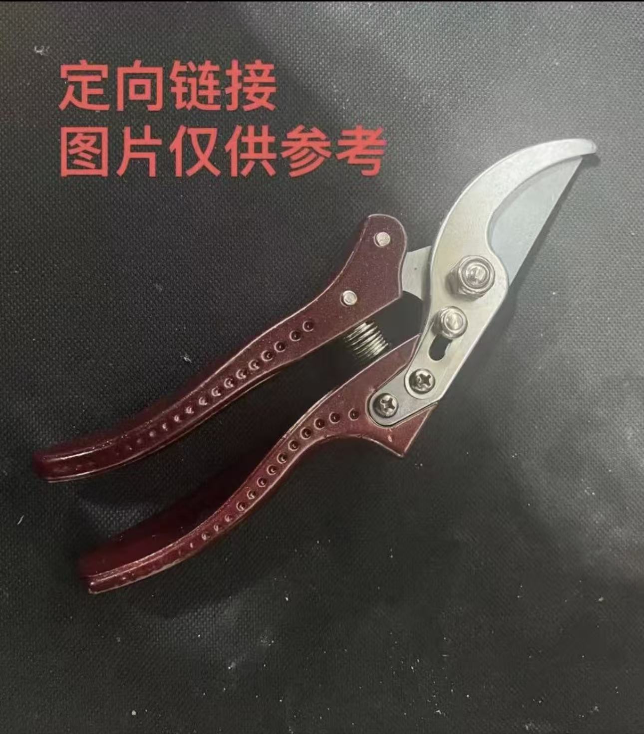 耐用多功能修枝剪用于果树花卉花枝修剪的园艺剪刀