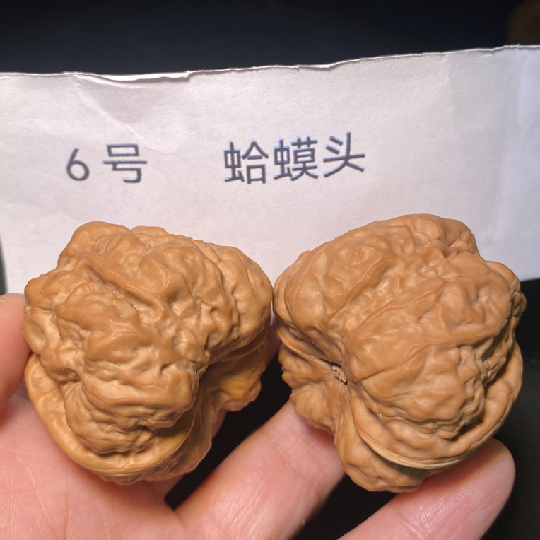 边42，肚43，高36精品蛤蟆头