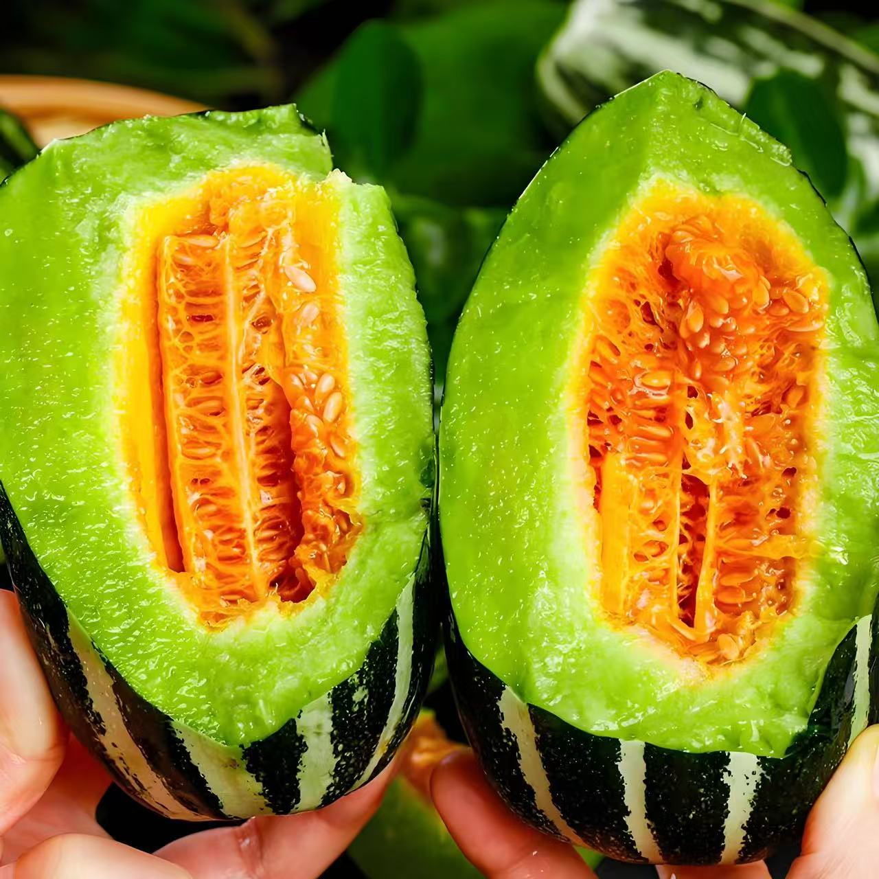 2.7斤【博洋甜瓜】山东淄博博洋72甜瓜好吃酥脆