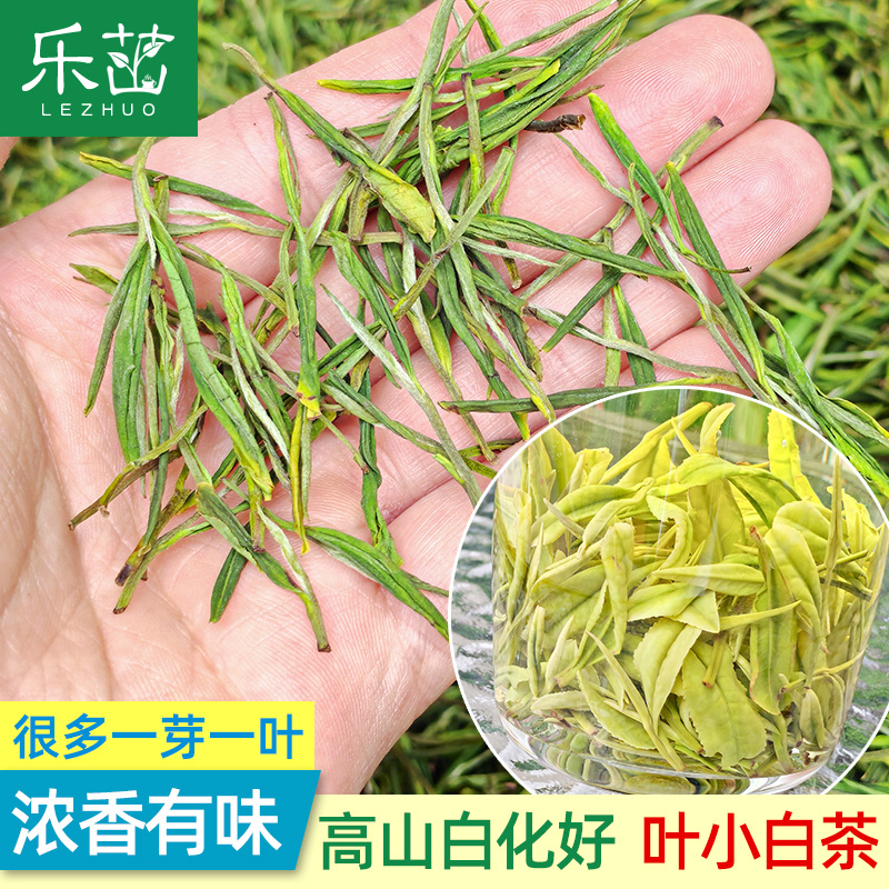 乐茁白茶【多数一芽一叶·雨前较小】2025年新茶高山正宗安吉绿茶