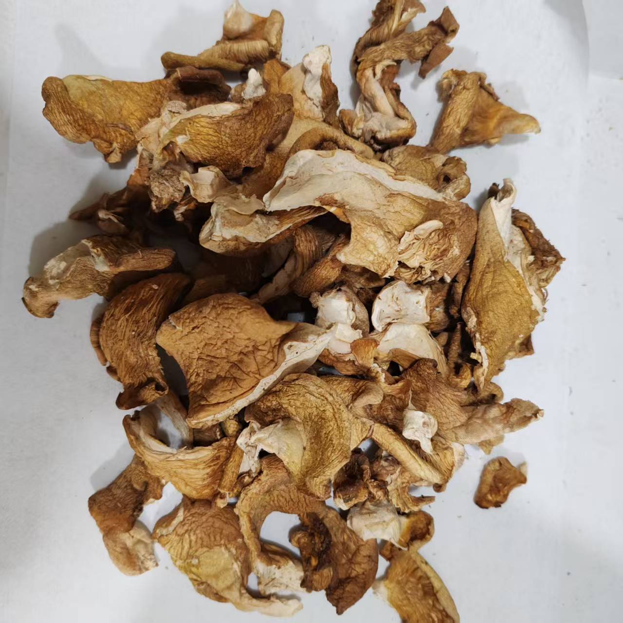 深山采摘冻蘑，又叫元蘑，500克