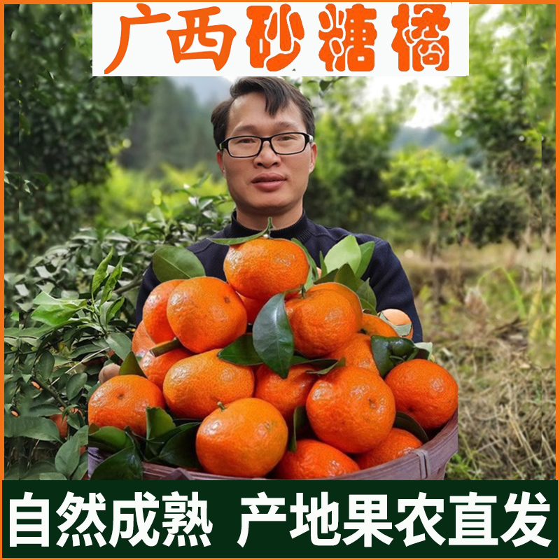 广西砂糖橘10斤新鲜水果整箱南宁沙糖桔橘子非广东四会蜜橘