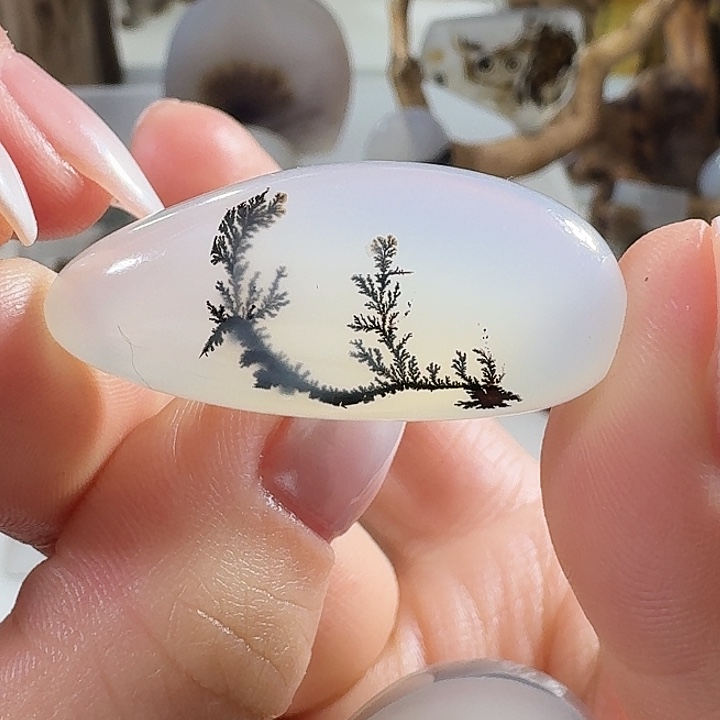 玛瑙/玉髓未镶嵌珠宝奇石