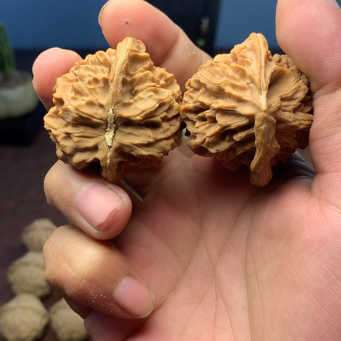 金刚菩提手串方*堃配饰