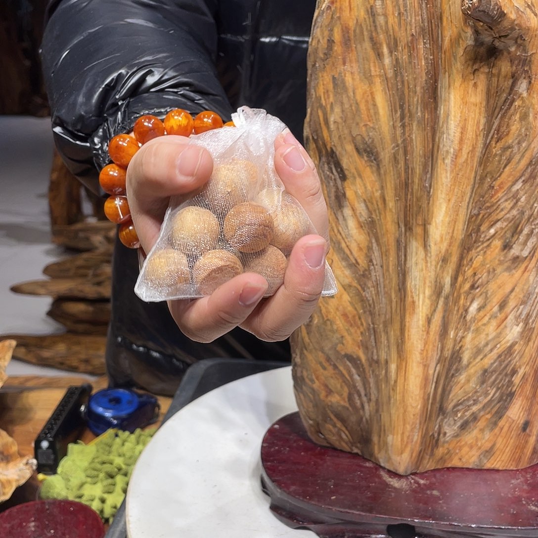 松木（琥珀木）琥珀木