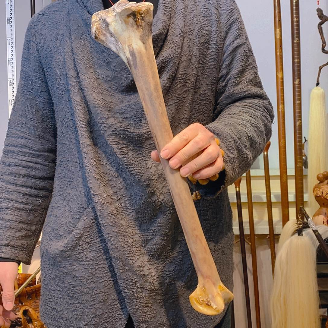 杂色豆（科檀/科特迪瓦檀木）