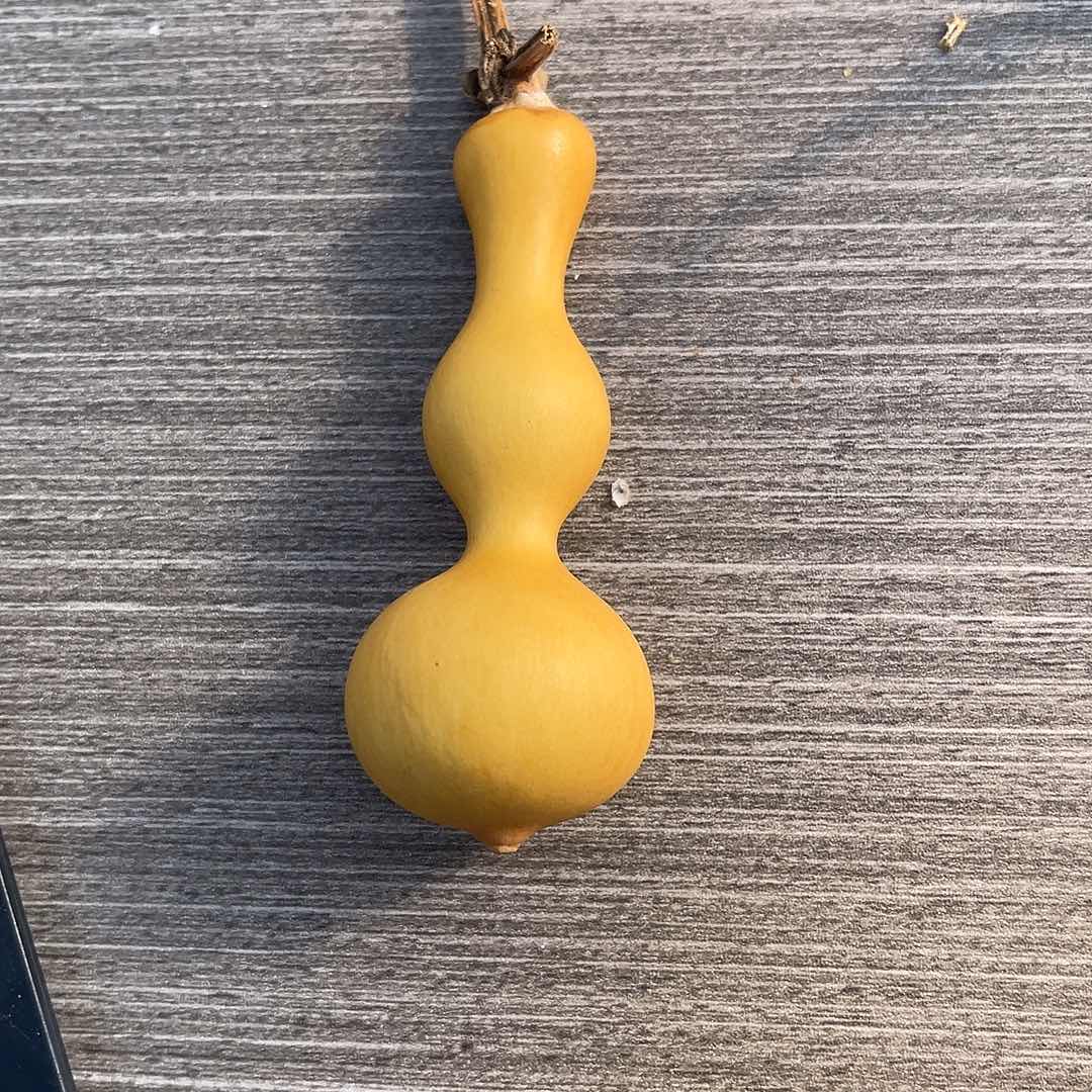 嘟***嘟11111111111111111