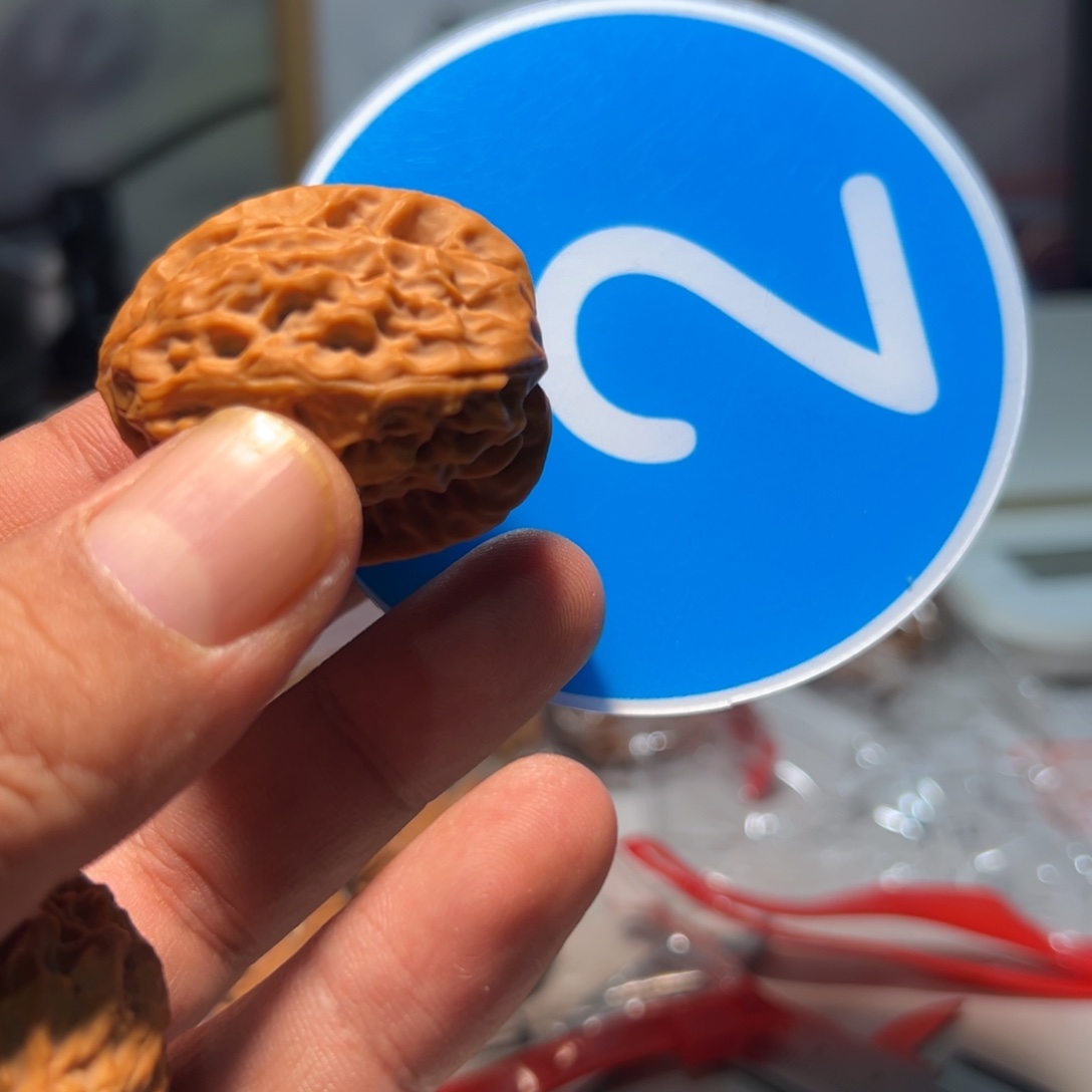 熟***谙文玩核桃，蓝色02号