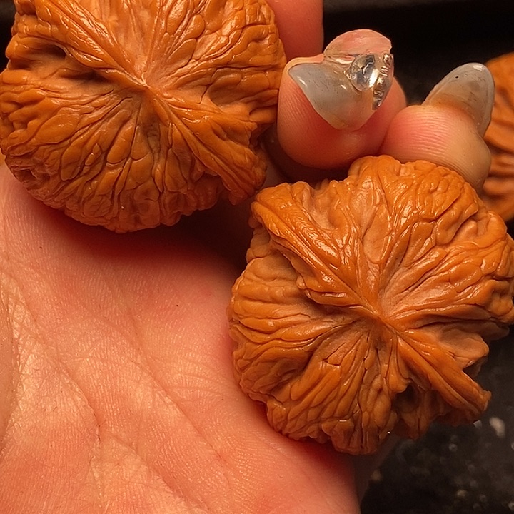 文玩核桃吊坠秦岭山脉核桃