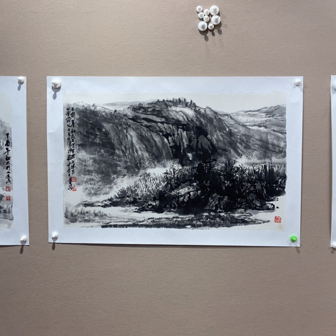 【闪购商品】国画墨鱼精品墨鱼精品