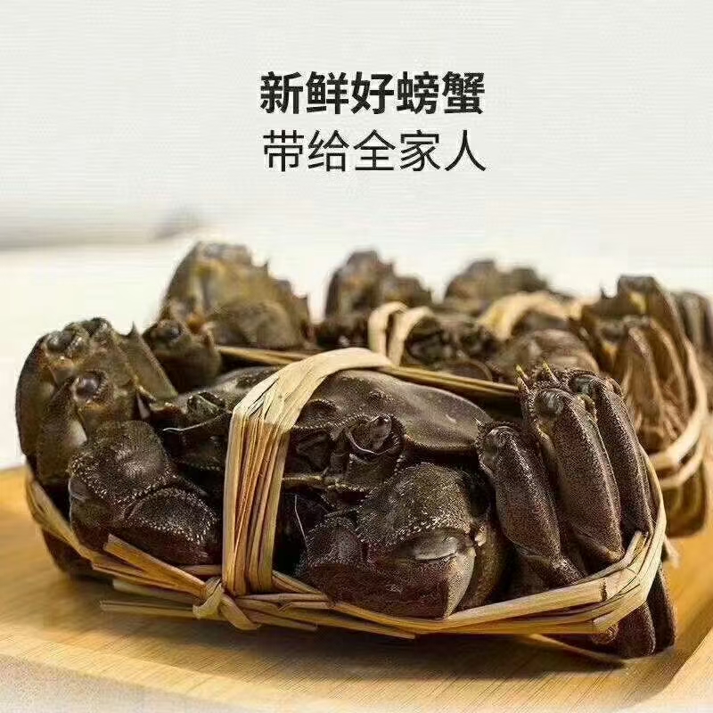 【洪泽湖螃蟹】全母2.3-2.7两8只装鲜活精品蟹顺丰京东冷链礼盒包邮