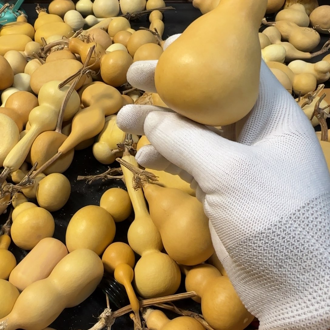 两***子葫芦葫芦葫芦葫芦