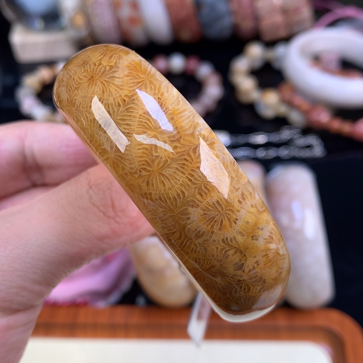 【闪购商品】颈饰未镶嵌硅化珊瑚（珊瑚玉）88号金凤尾55.4圈