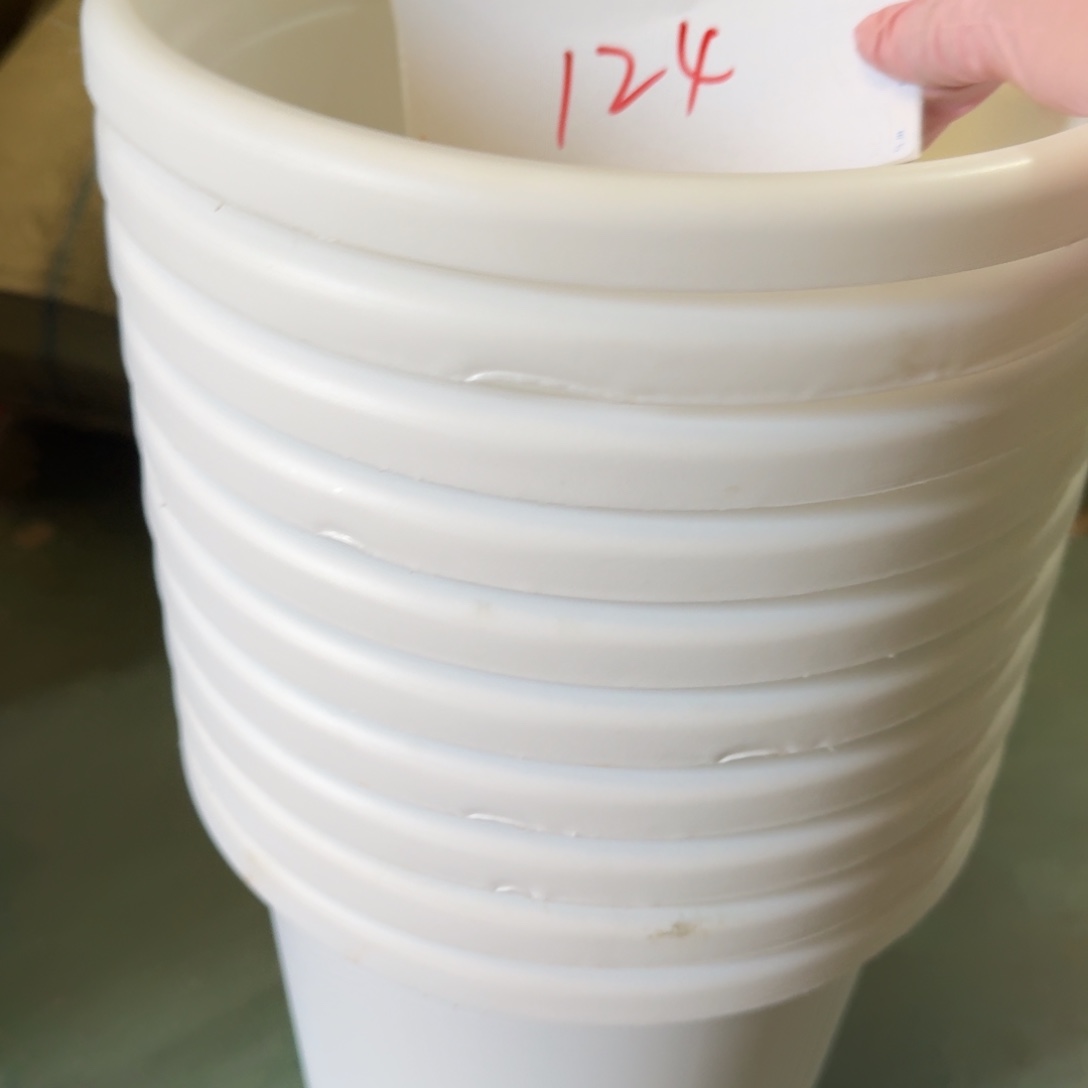 特价124缺口无拖