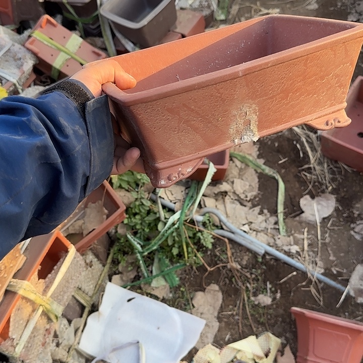 你就在家里吃好吧亲爱你吃点什么饭就睡