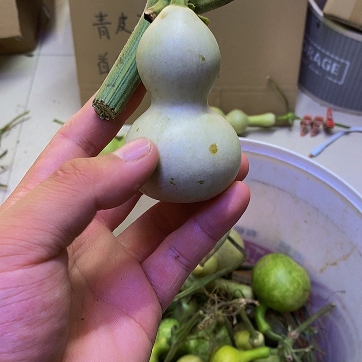 伟****》长嘴哈哈哈哈哈哈哈哈哈哈哈哈好