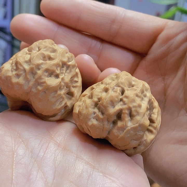 【闪购商品】文玩核桃把件38蛤蟆头修