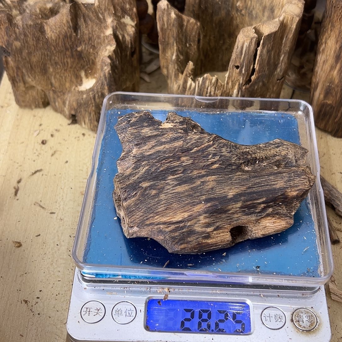 香料绿奇楠虫漏28克乌身