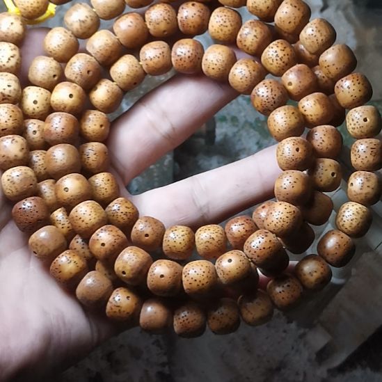 吊坠星月菩提原生态橙子