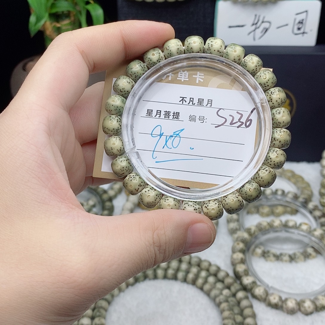 星月菩提吊坠88888888S236