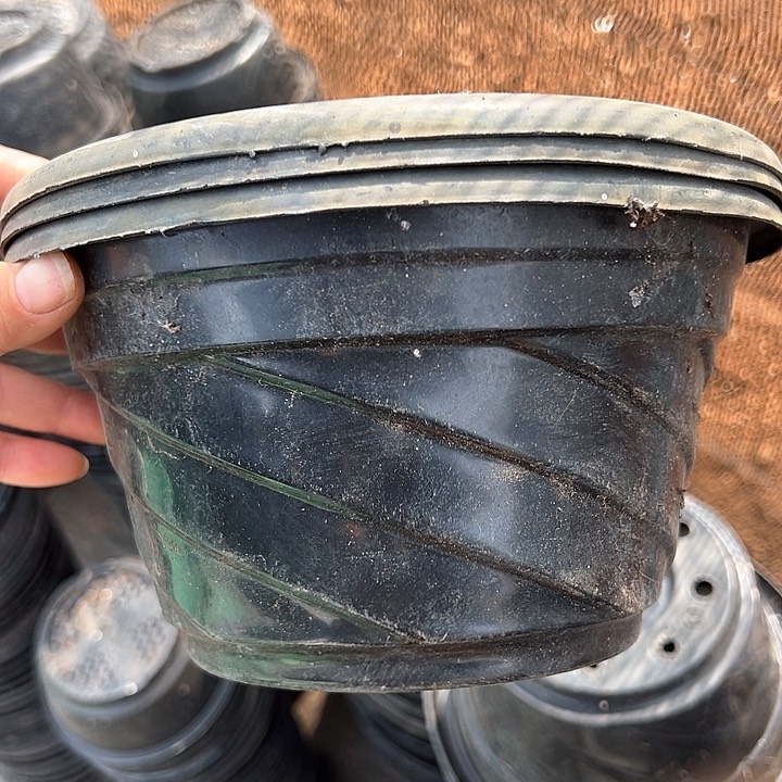 塑料口径20高度12黑螺旋一组30个