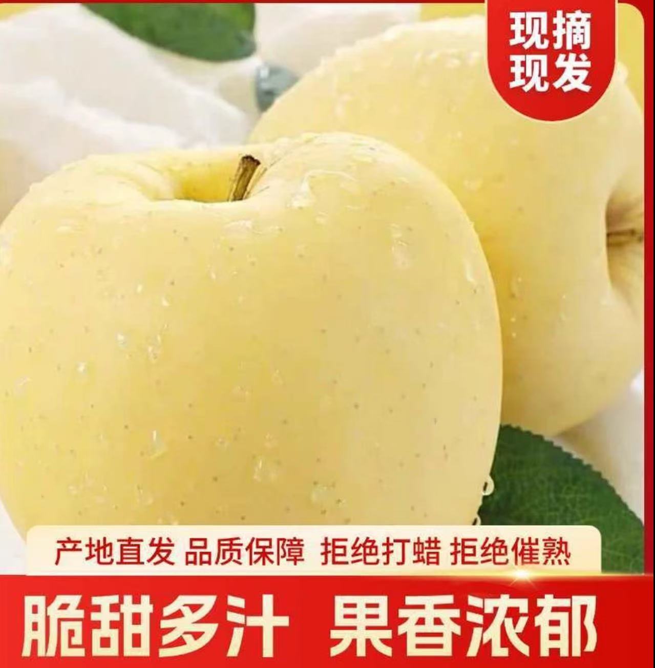 山东烟台奶油富士苹果当季水果新鲜脆甜多汁多仓发货