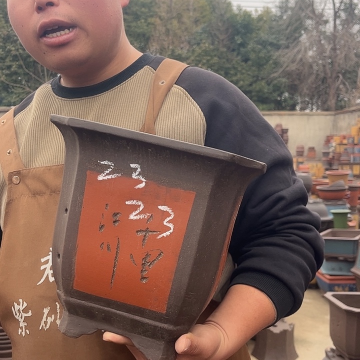 紫砂紫砂花盆盆栽