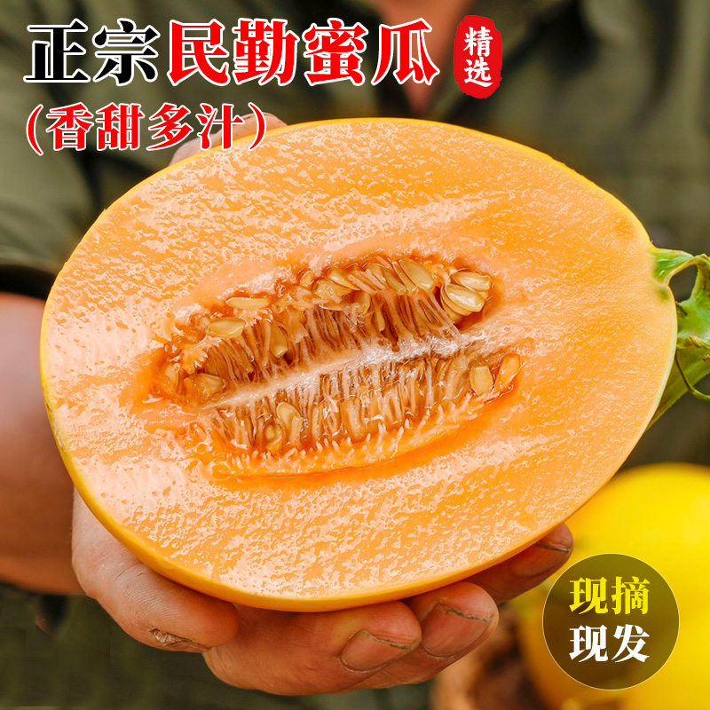 【甘肃民勤产地直发】蜜瓜金红宝沙漠蜜瓜金红宝甜瓜新鲜多汁哈密瓜