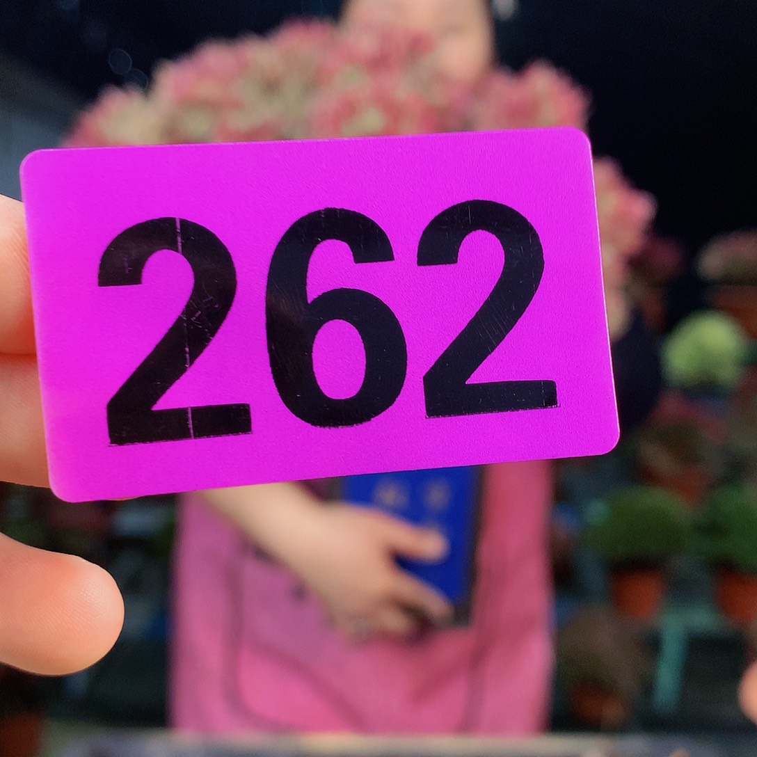 恋*朱Ssssssssssssssssss262
