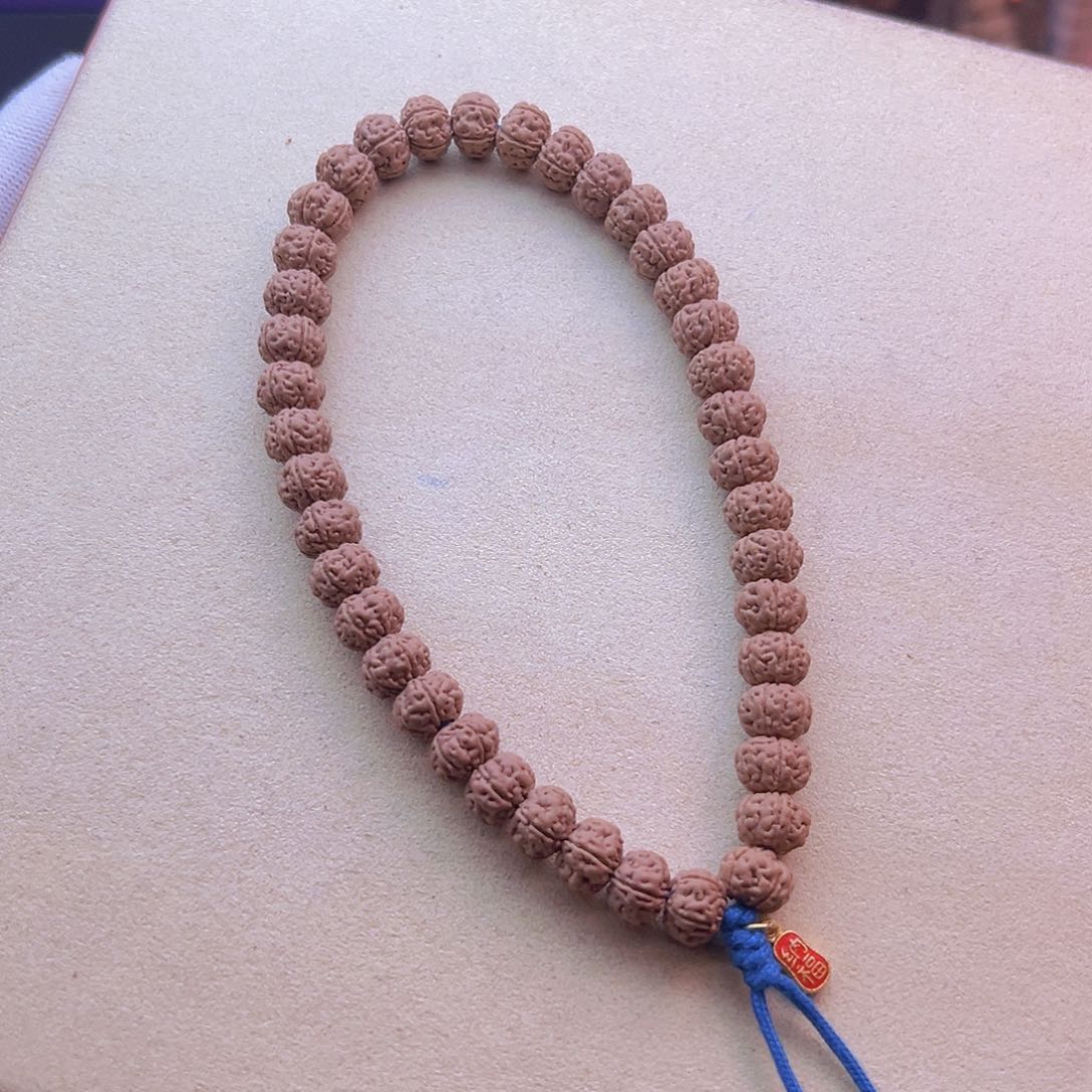 金刚菩提手串勿里达纯血老树王手持