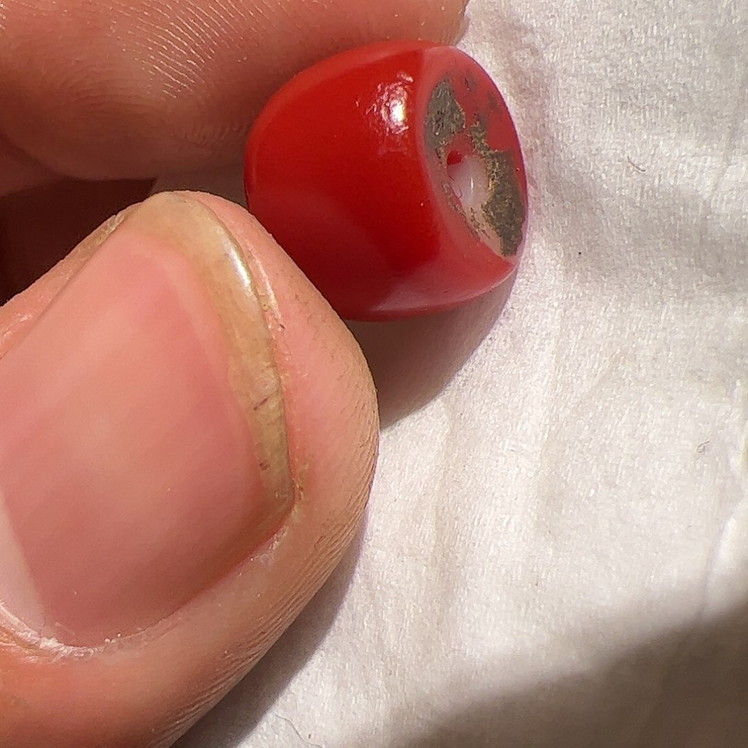 香榧木你的时候你是