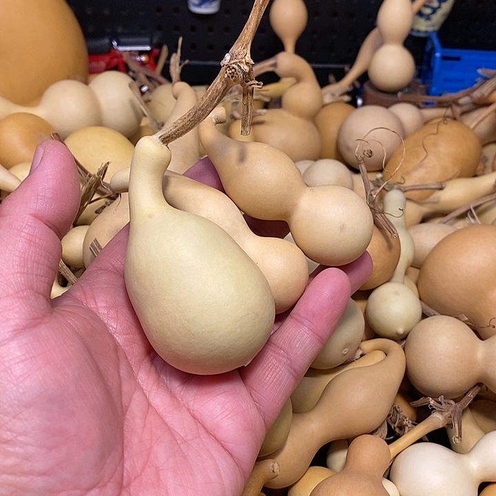 小**噜精品葫芦手把葫芦10