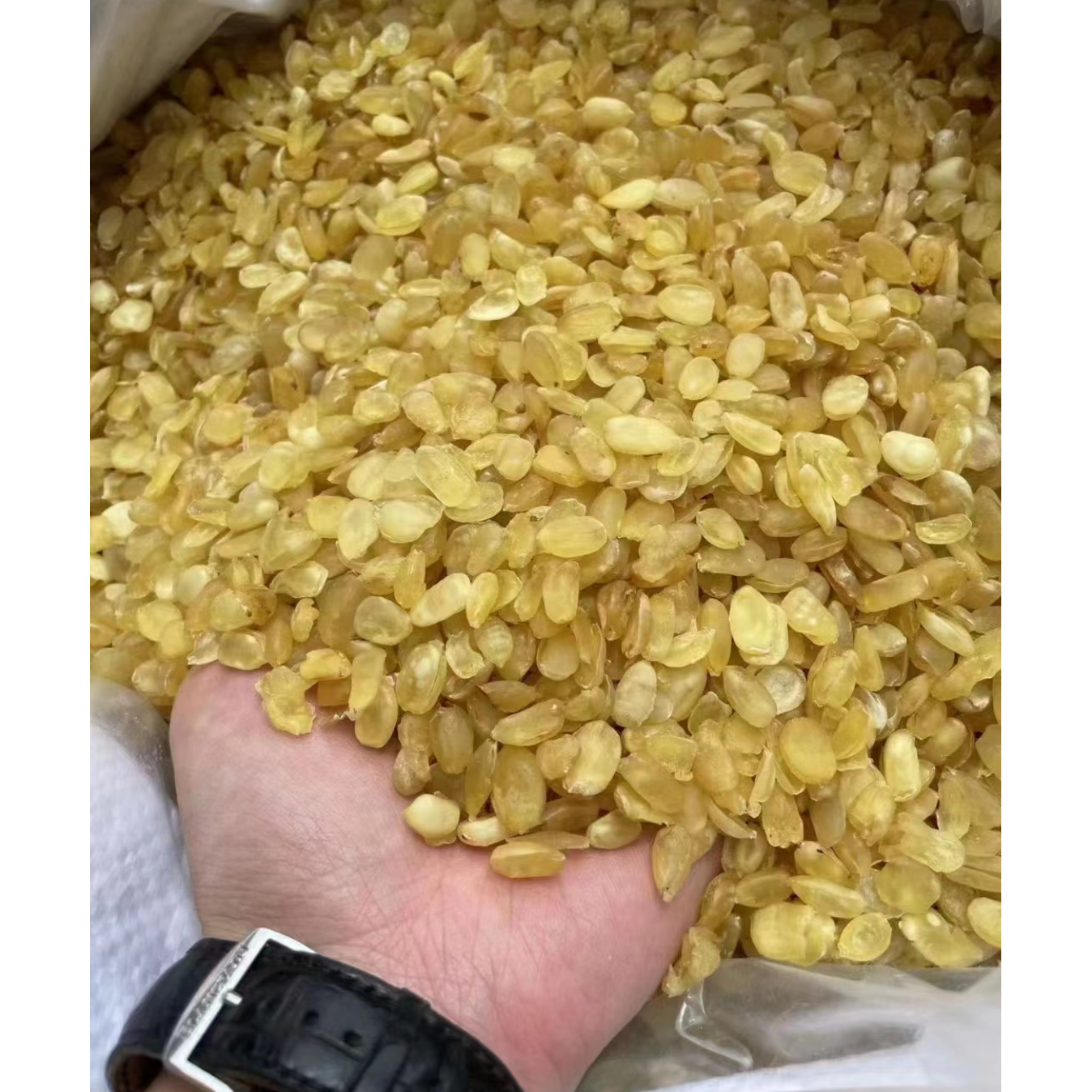 [小王甄选山货]皂角米