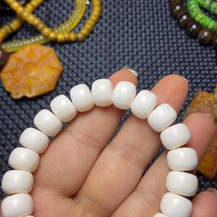 大果紫檀（缅甸花梨）