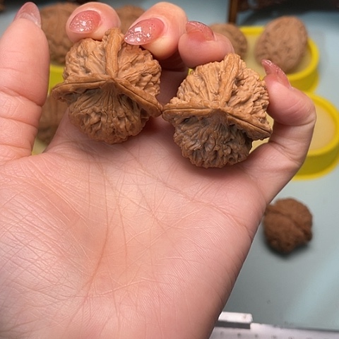 玉玺三棱全品无休